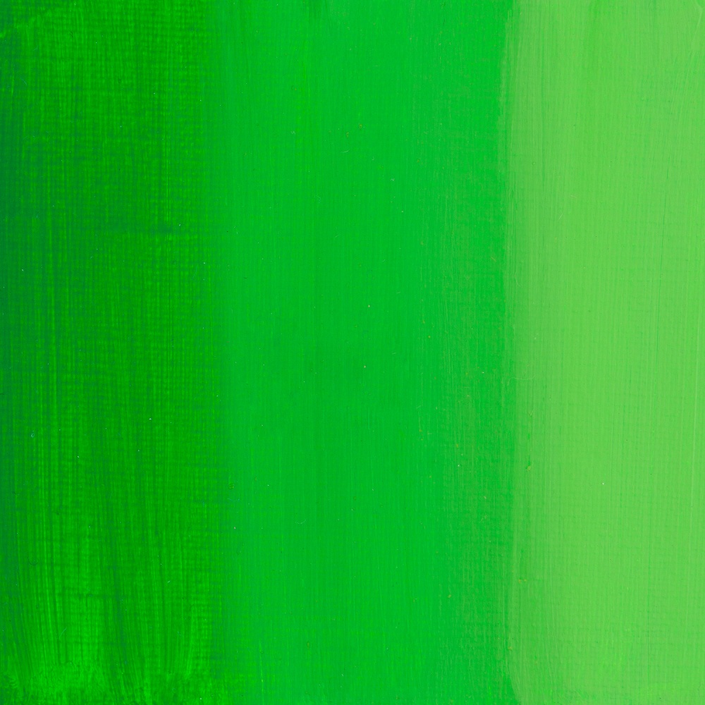 Краски акриловые "Сонет", 717 зеленая светлая, 75 мл, туба - 3