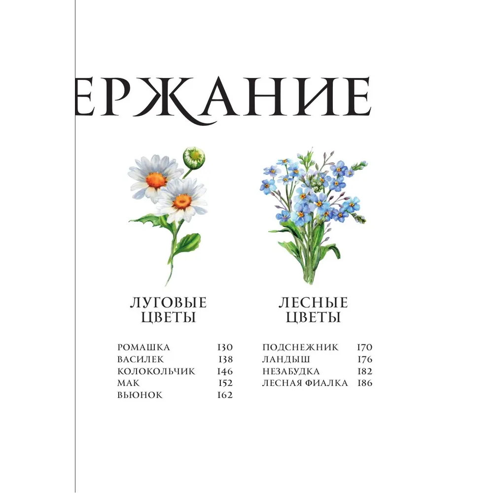 Книга "Цветы в искусстве. Воспевание красоты" - 4