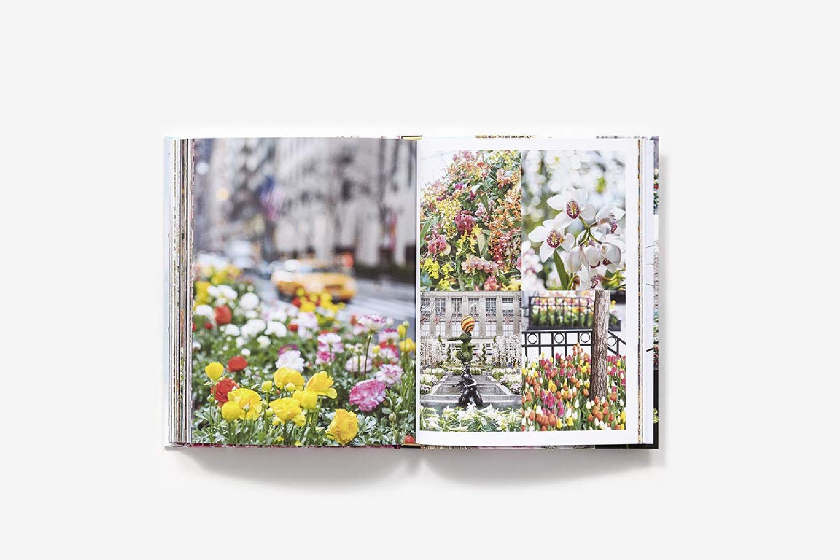 Книга на английском языке "New York in Bloom", Lane G. - 2