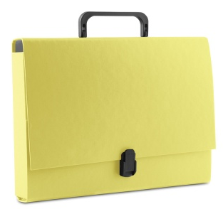 Портфель, картон, желтый