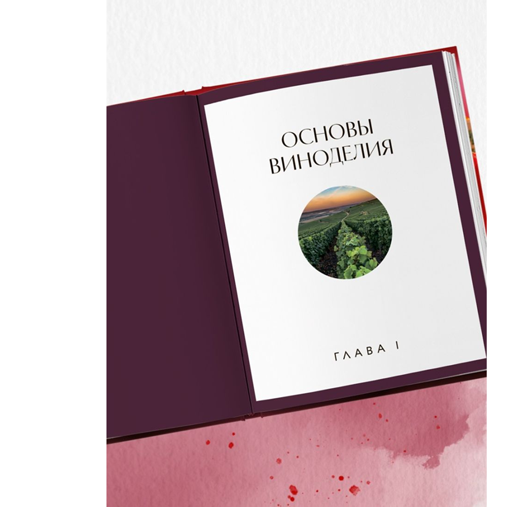 Книга "Вино к еде. Искусство идеального сочетания", Елена Горбачева - 7