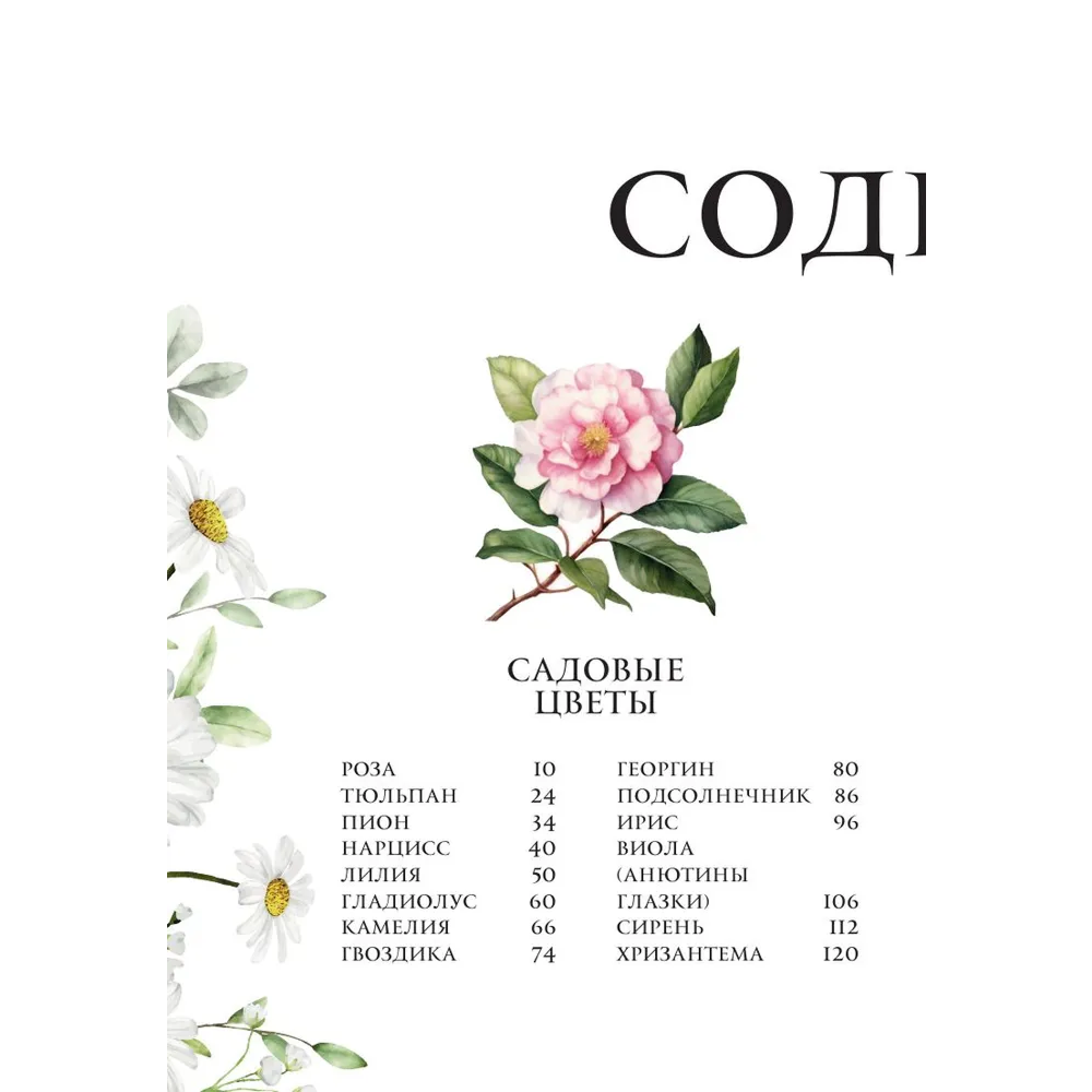 Книга "Цветы в искусстве. Воспевание красоты" - 3