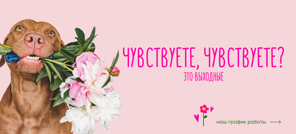 960х434.png